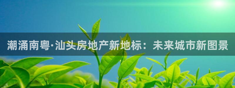 新宝5官网平台：潮涌南粤·汕头房地产新地标：未来城市新图景
