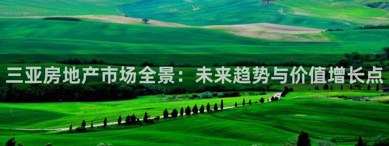 新宝5娱乐经：三亚房地产市场全景：未来趋势与价值增长点