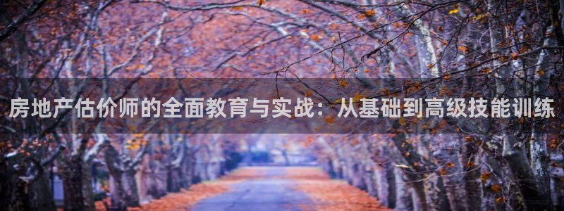 新宝5d：房地产估价师的全面教育与实战：从基础到高级技能训练