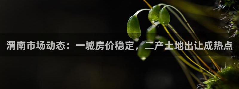 新宝xb5：渭南市场动态：一城房价稳定，二产土地出让成热点