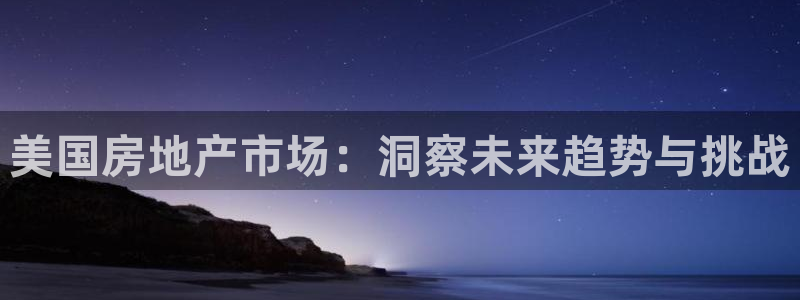 新5宝：美国房地产市场：洞察未来趋势与挑战
